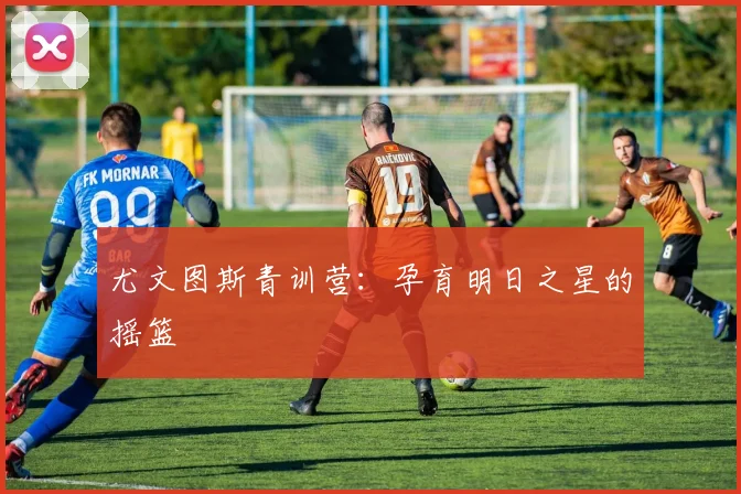 尤文图斯青训营：孕育明日之星的摇篮